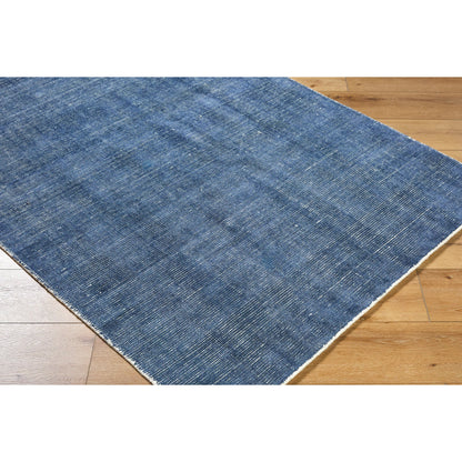 Amalfi Rug - 20941 by Surya. Made from viscose, wool in a unique style.