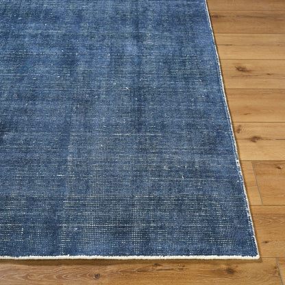 Amalfi Rug - 20941 by Surya. Made from viscose, wool in a unique style.