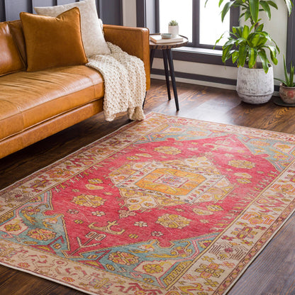 Amelie AML-2346 Rug by Livabliss in pink, saffron, denim, orange, charcoal, light beige. Made from polyester in a unique style.