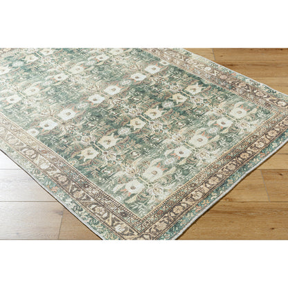 Amelie AML-2396 Rug by Livabliss in olive, medium green, cream, wheat, black, dusty coral. Made from polyester in a unique style.