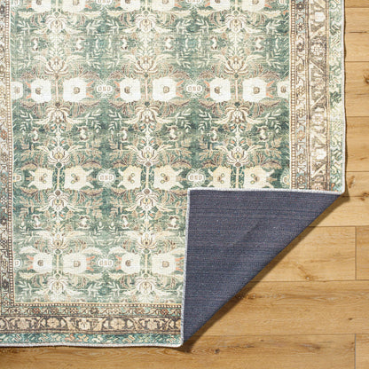 Amelie AML-2396 Rug by Livabliss in olive, medium green, cream, wheat, black, dusty coral. Made from polyester in a unique style.