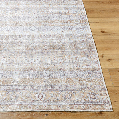 Amelie AML-2400 Rug by Livabliss in beige, light brown, cream, charcoal, dark brown, seafoam. Made from polyester in a unique style.