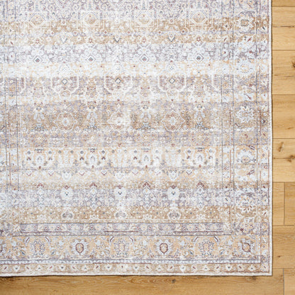 Amelie AML-2400 Rug by Livabliss in beige, light brown, cream, charcoal, dark brown, seafoam. Made from polyester in a unique style.