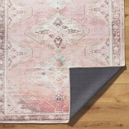 Amelie AML-2402 Rug by Livabliss in dusty pink, rust, cream, beige, dark brown, black. Made from polyester in a unique style.