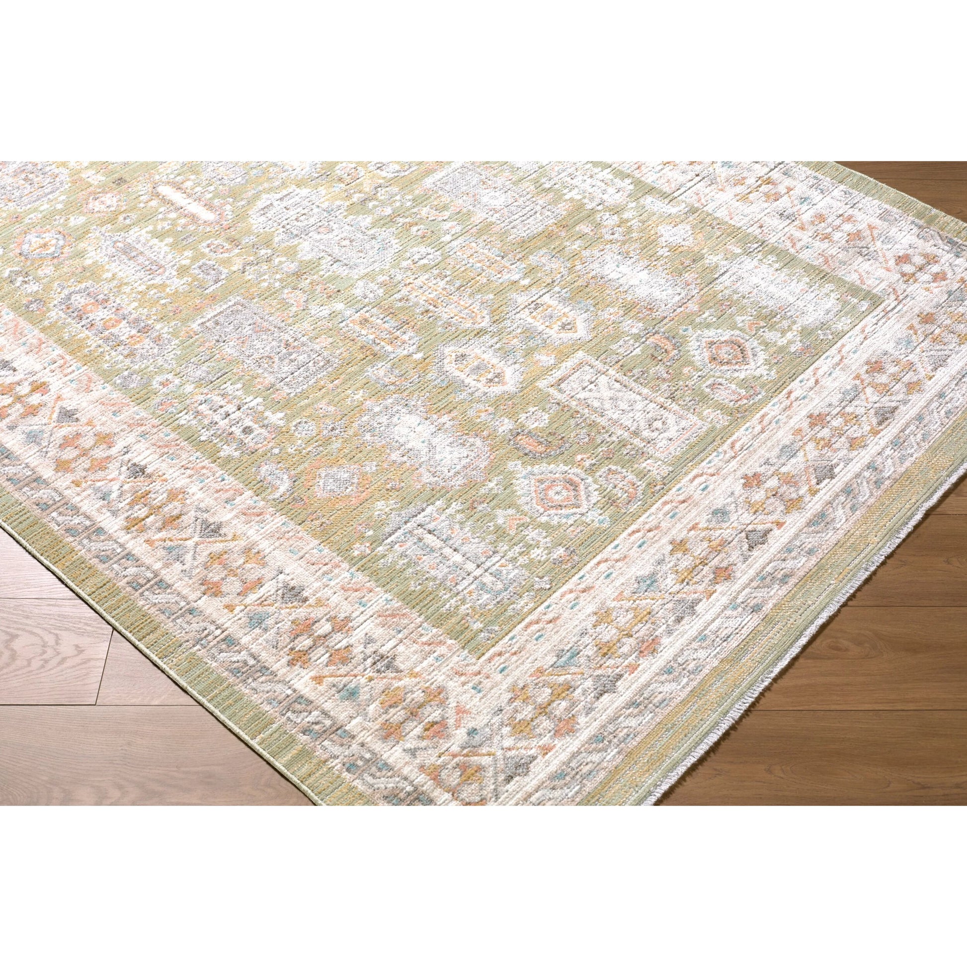 Amir AMR-2301 Rug by Livabliss. Made from polypropylene, polyester in a unique style.