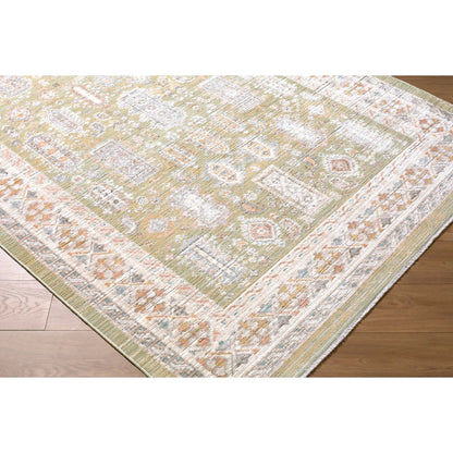 Amir AMR-2301 Rug by Livabliss. Made from polypropylene, polyester in a unique style.
