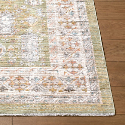 Amir AMR-2301 Rug by Livabliss. Made from polypropylene, polyester in a unique style.