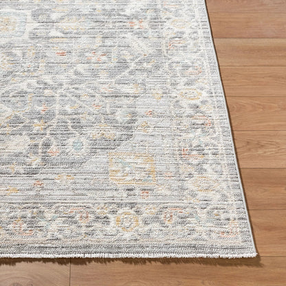 Amir AMR-2302 Rug by Livabliss in medium gray, light gray, beige, cream, light brown, sky blue. Made from polypropylene, polyester in a unique style.
