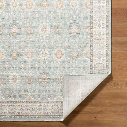 Amir AMR-2304 Rug by Livabliss. Made from polypropylene, polyester in a unique style.