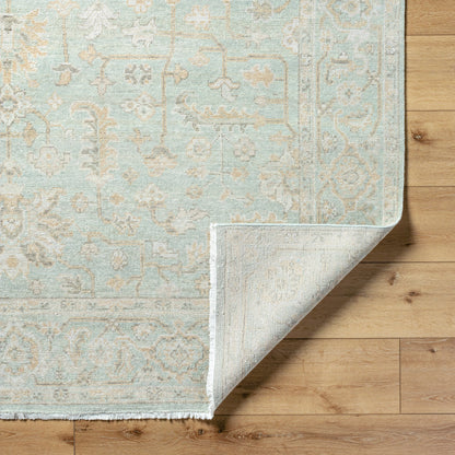 Anelka ANK-2300 Rug by Surya in pale sage, soft ivory, light taupe, misty gray. Made from wool in a unique style.