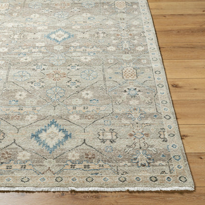 Anelka ANK-2302 Rug by Surya in taupe, slate gray, ivory, sky blue, sandstone. Made from wool in a unique style.