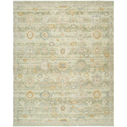 Anelka ANK-2304 Rug by Surya in sage, ivory, gold, slate, taupe. Made from wool in a unique style.