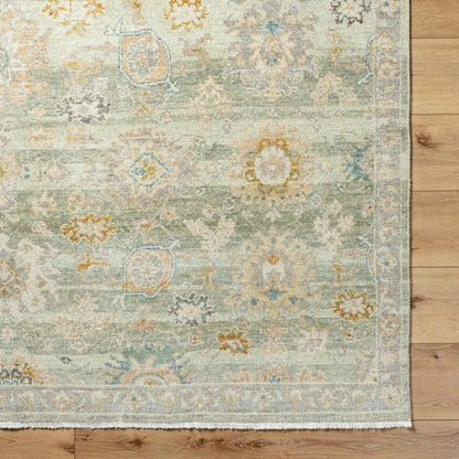 Anelka ANK-2304 Rug by Surya in sage, ivory, gold, slate, taupe. Made from wool in a unique style.