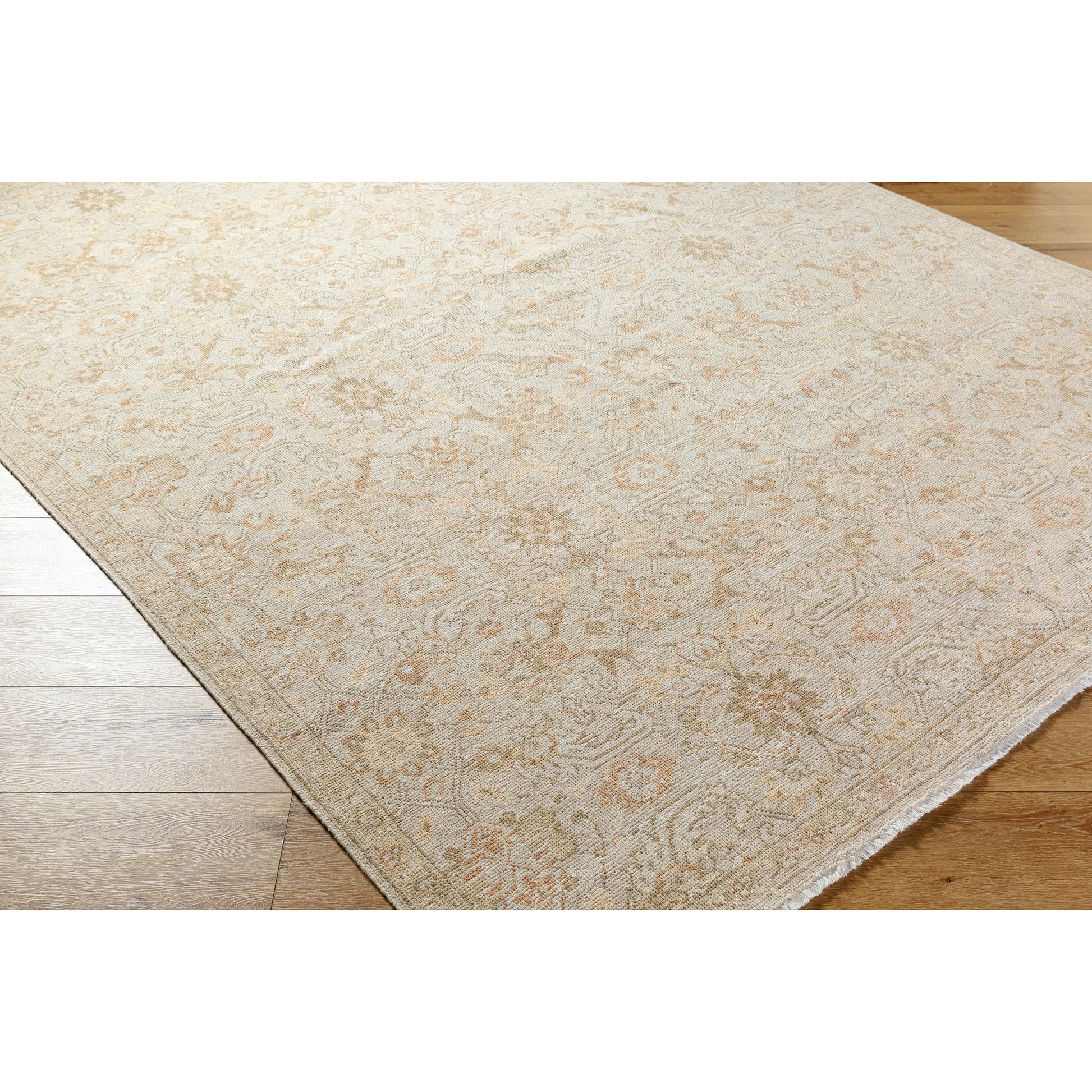 Anelka ANK-2306 Rug by Surya in ivory, sandstone, taupe, beige. Made from wool in a unique style.