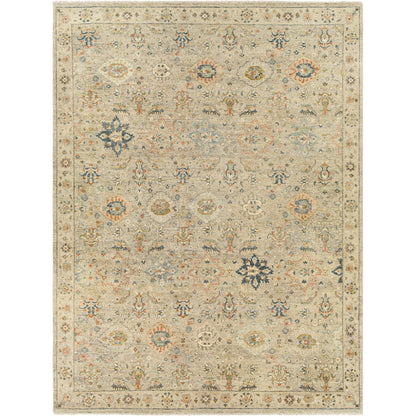 Anatolia Rug - 29818 by Surya in dark blue, rust, taupe, dark brown, charcoal, light beige. Made from unique in a unique style.