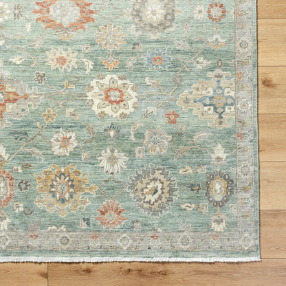Anatolia ANY-2313 Rug by Surya. Made from wool in a unique style.