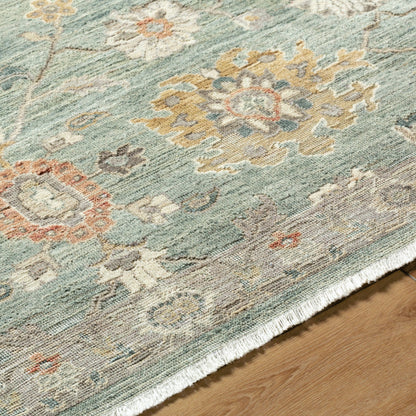 Anatolia ANY-2313 Rug by Surya. Made from wool in a unique style.