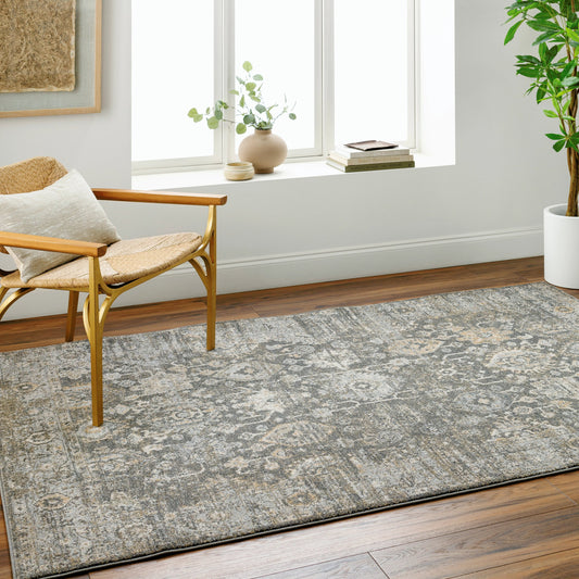Alpharetta APH-2318 Rug by Livabliss in charcoal, amber, medium gray, light beige, cream, blue. Made from polypropylene in a unique style.