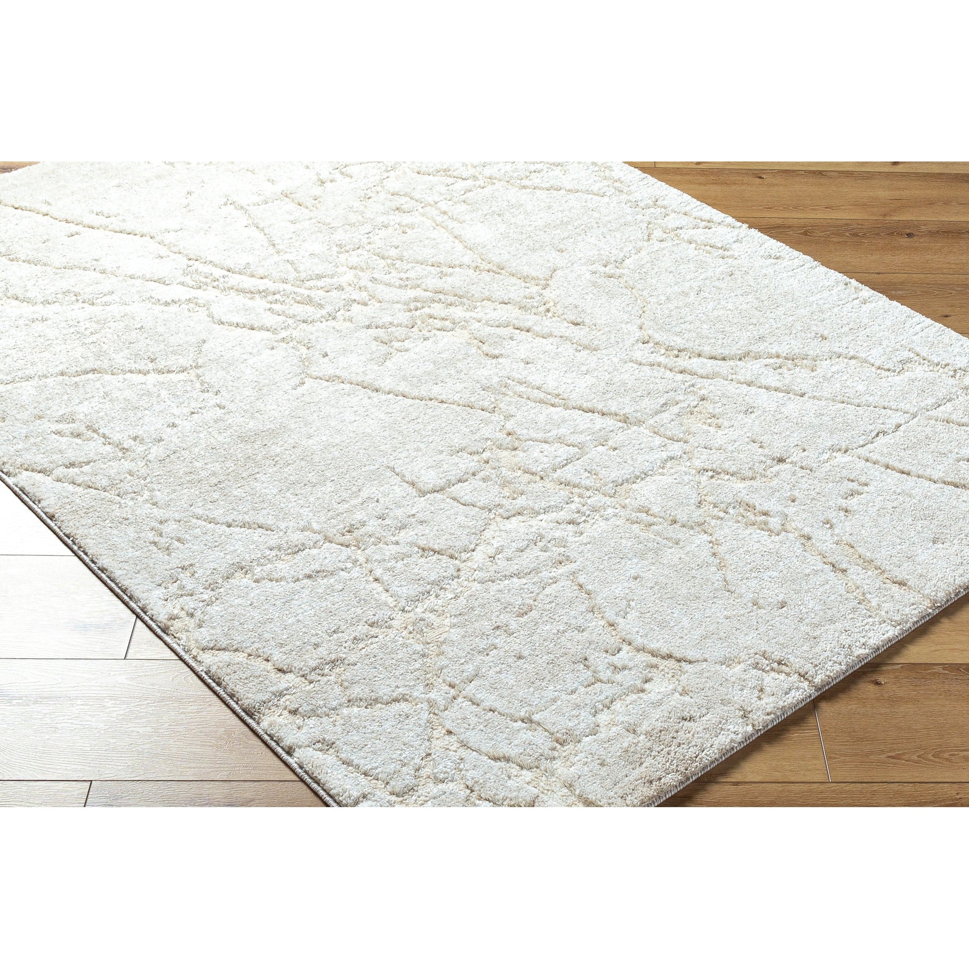 Andorra Plus ARP-2312 Rug by Livabliss. Made from face: 70% polypropylene, 30% polyester, warp: 100% jute in a unique style.
