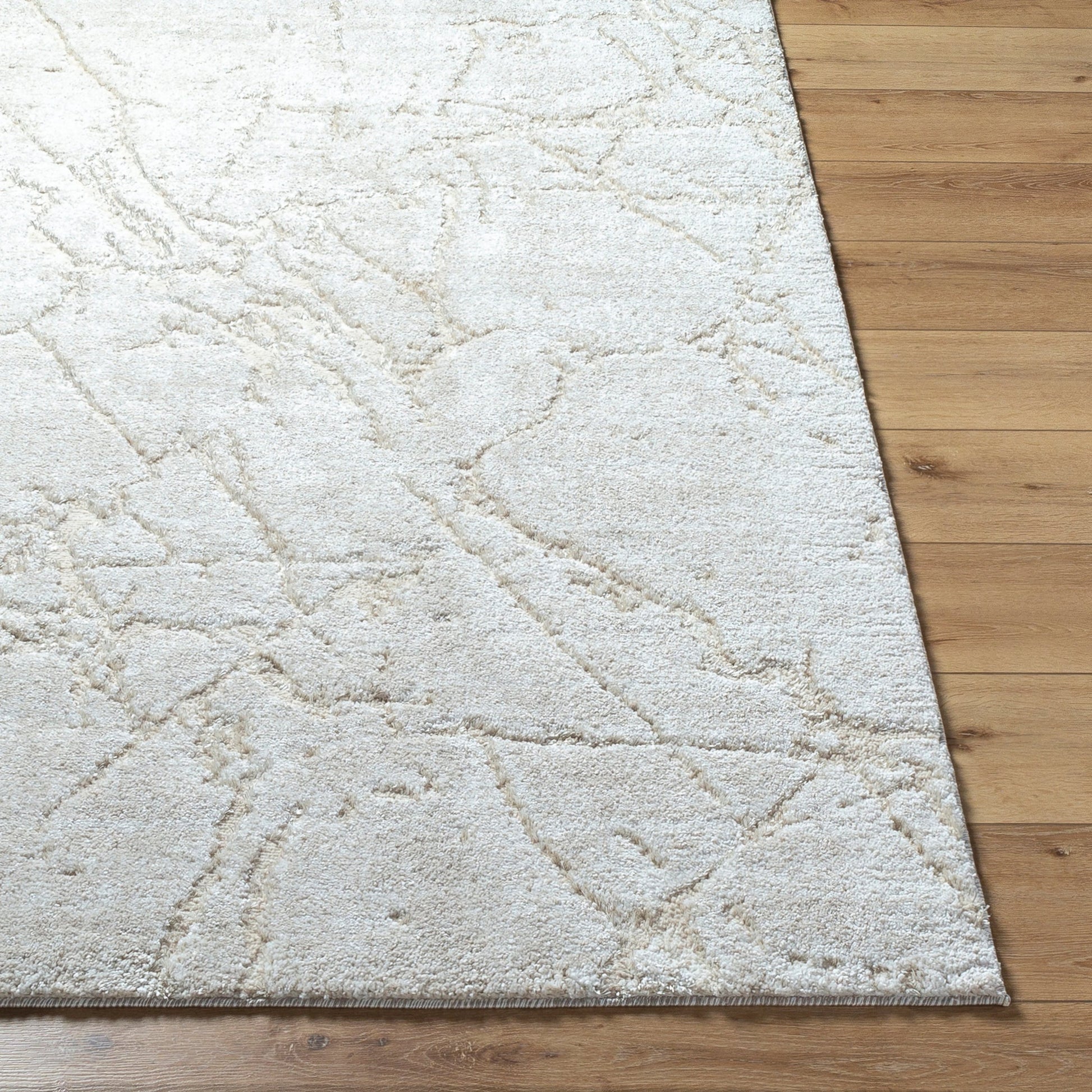 Andorra Plus ARP-2312 Rug by Livabliss. Made from face: 70% polypropylene, 30% polyester, warp: 100% jute in a unique style.