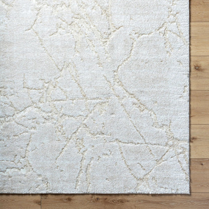 Andorra Plus ARP-2312 Rug by Livabliss. Made from face: 70% polypropylene, 30% polyester, warp: 100% jute in a unique style.