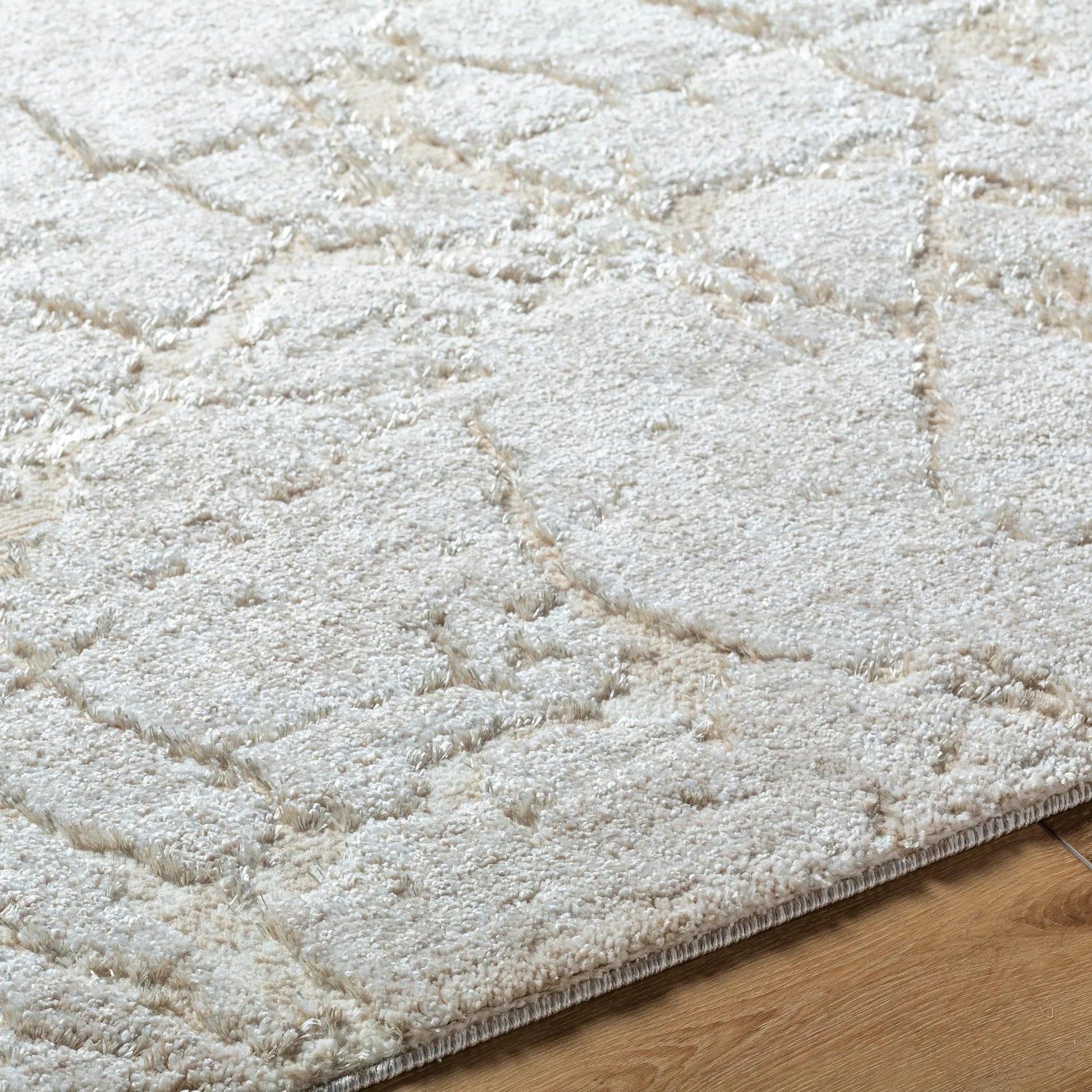 Andorra Plus ARP-2312 Rug by Livabliss. Made from face: 70% polypropylene, 30% polyester, warp: 100% jute in a unique style.