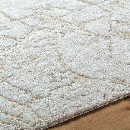 Andorra Plus ARP-2312 Rug by Livabliss. Made from face: 70% polypropylene, 30% polyester, warp: 100% jute in a unique style.