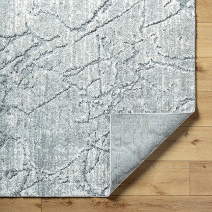 Andorra Plus ARP-2312 Rug by Livabliss. Made from face: 70% polypropylene, 30% polyester, warp: 100% jute in a unique style.