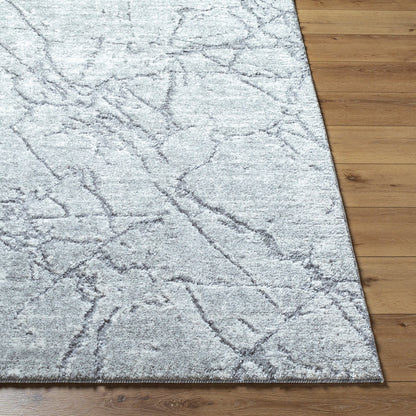 Andorra Plus ARP-2312 Rug by Livabliss. Made from face: 70% polypropylene, 30% polyester, warp: 100% jute in a unique style.