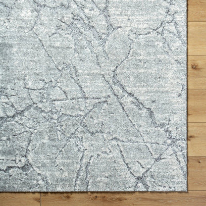 Andorra Plus ARP-2312 Rug by Livabliss. Made from face: 70% polypropylene, 30% polyester, warp: 100% jute in a unique style.