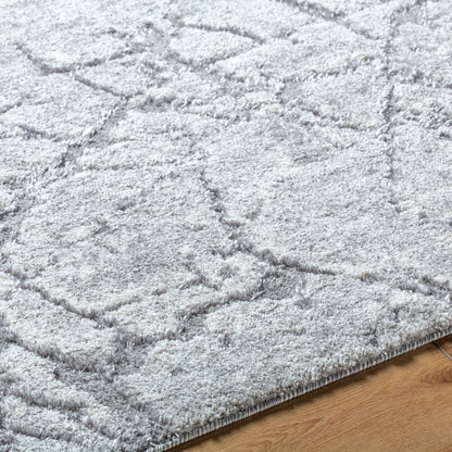 Andorra Plus ARP-2312 Rug by Livabliss. Made from face: 70% polypropylene, 30% polyester, warp: 100% jute in a unique style.