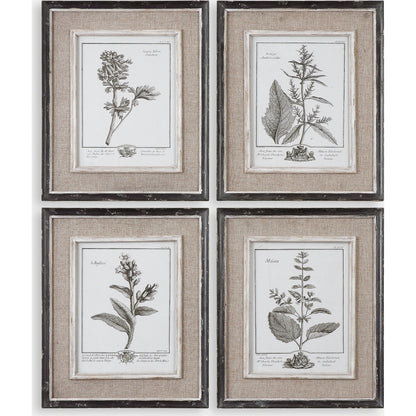 Casual Study Framed Art (Set of 4) by Uttermost in multi. Made from pine, mdf, flax, linen in a cottage & farmhouse style.
