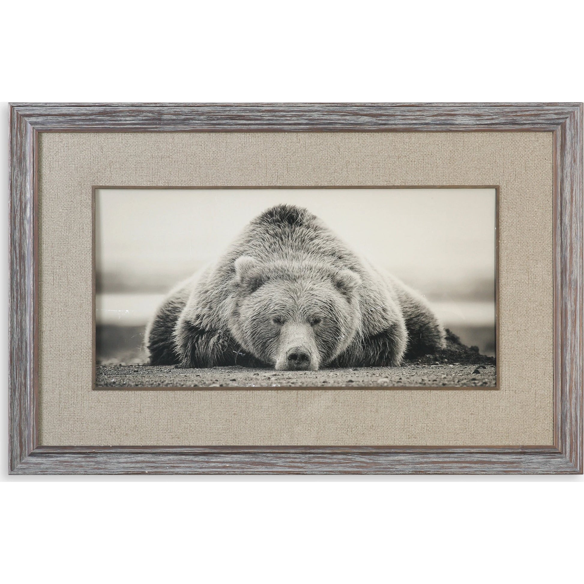 Deep Sleep Bear Print by Uttermost in multi. Made from pine wood, glass in a rustic style.