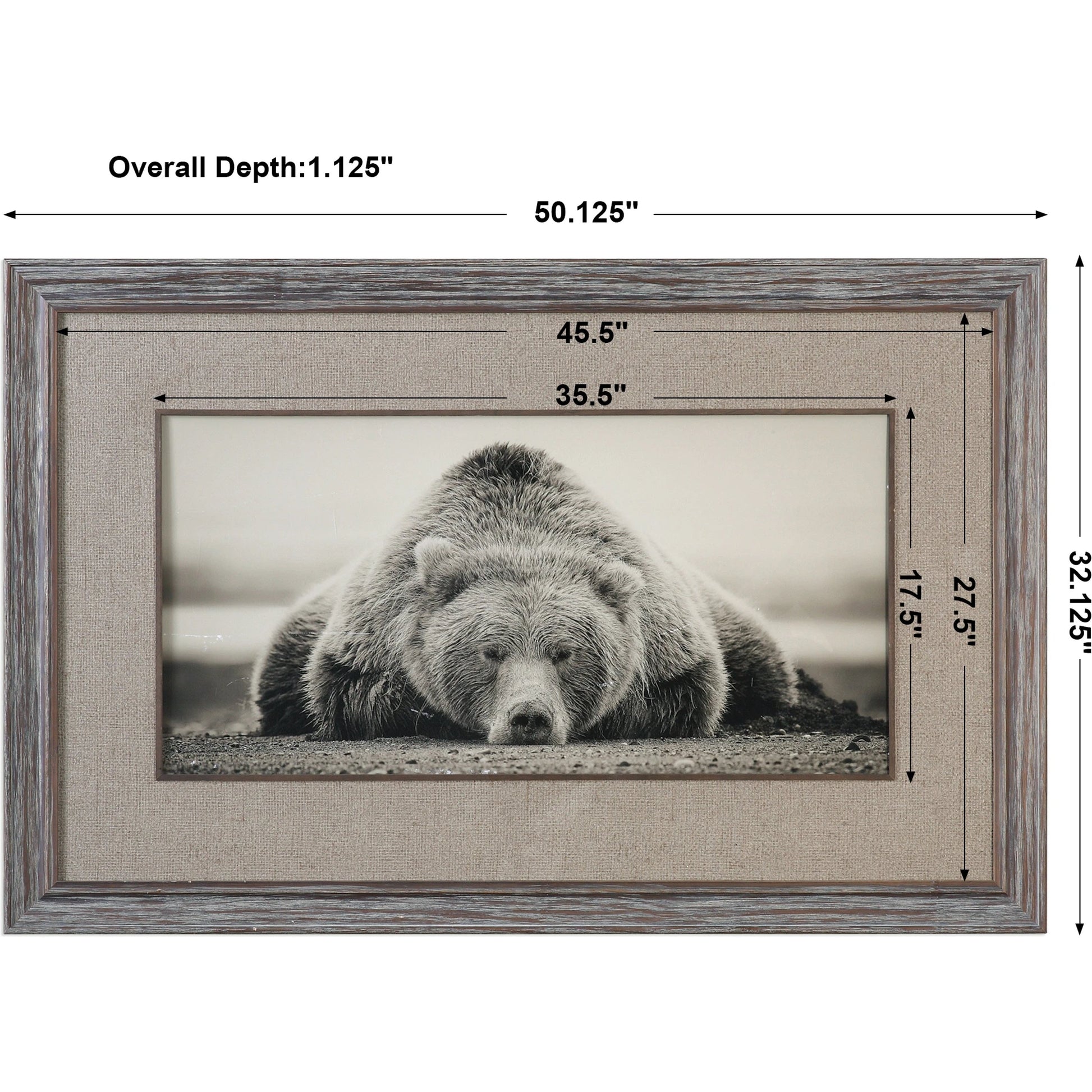 Deep Sleep Bear Print by Uttermost in multi. Made from pine wood, glass in a rustic style.