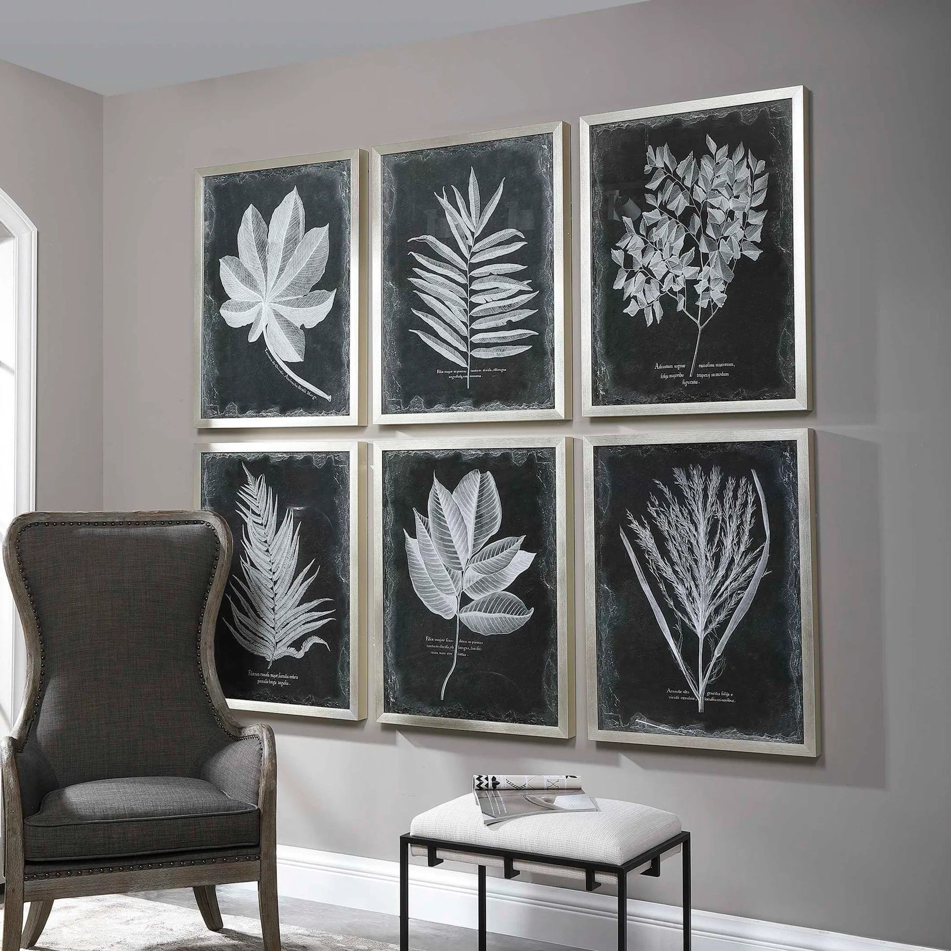 Foliage Framed Prints (Set of 6) by Uttermost in multi. Made from plastic, glass in a cottage & farmhouse style.