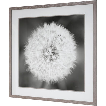 Dandelion Seedhead Framed Print by Uttermost in multi. Made from pinewood, veneer, glass, mdf in a modern style.