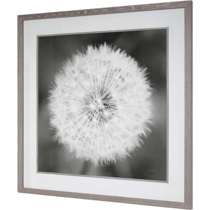 Dandelion Seedhead Framed Print by Uttermost in multi. Made from pinewood, veneer, glass, mdf in a modern style.