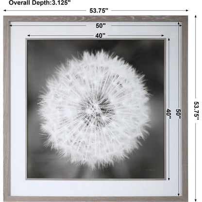Dandelion Seedhead Framed Print by Uttermost in multi. Made from pinewood, veneer, glass, mdf in a modern style.