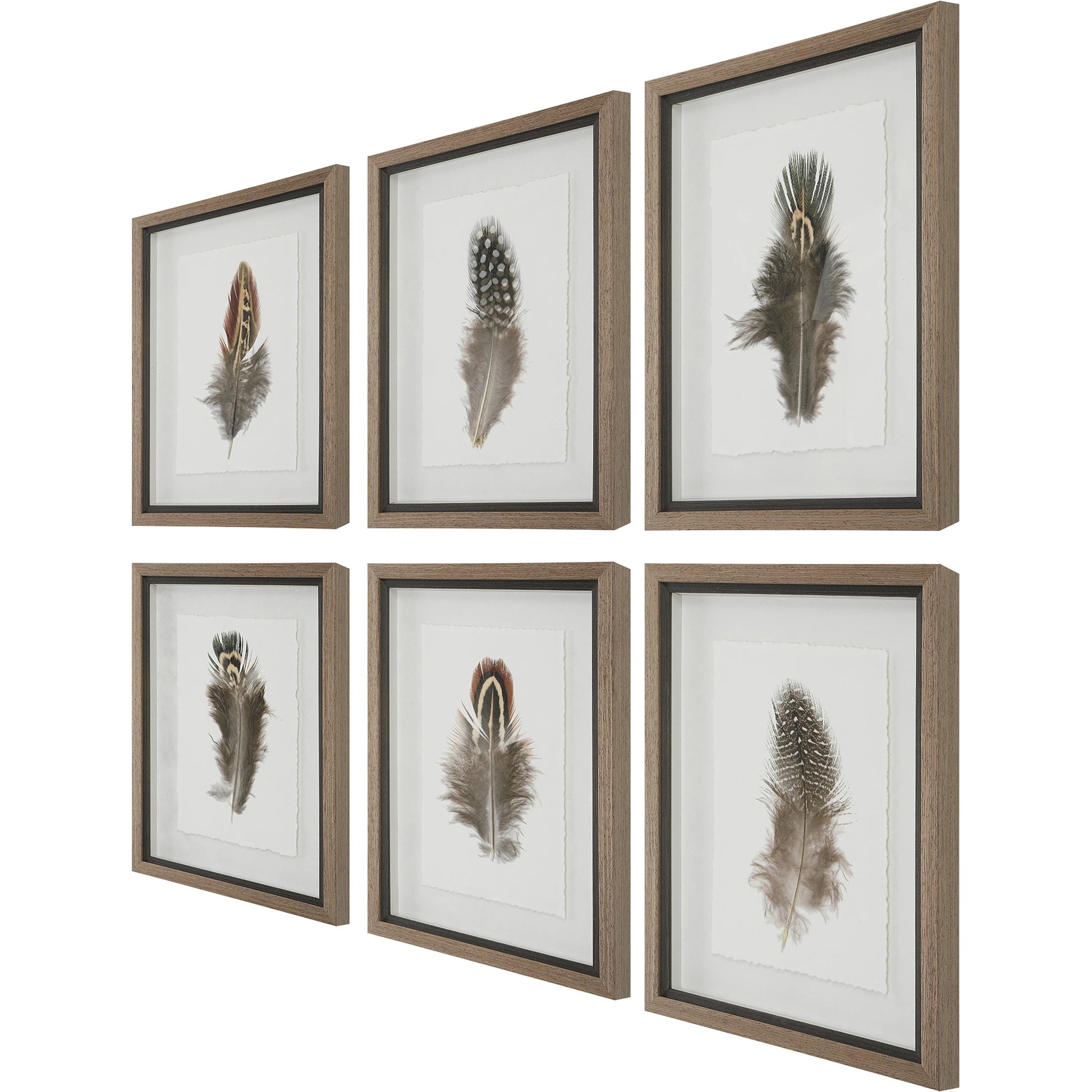 Birds of a Feather Framed Prints by Uttermost in multi. Made from plastic, glass, paper in a modern style.