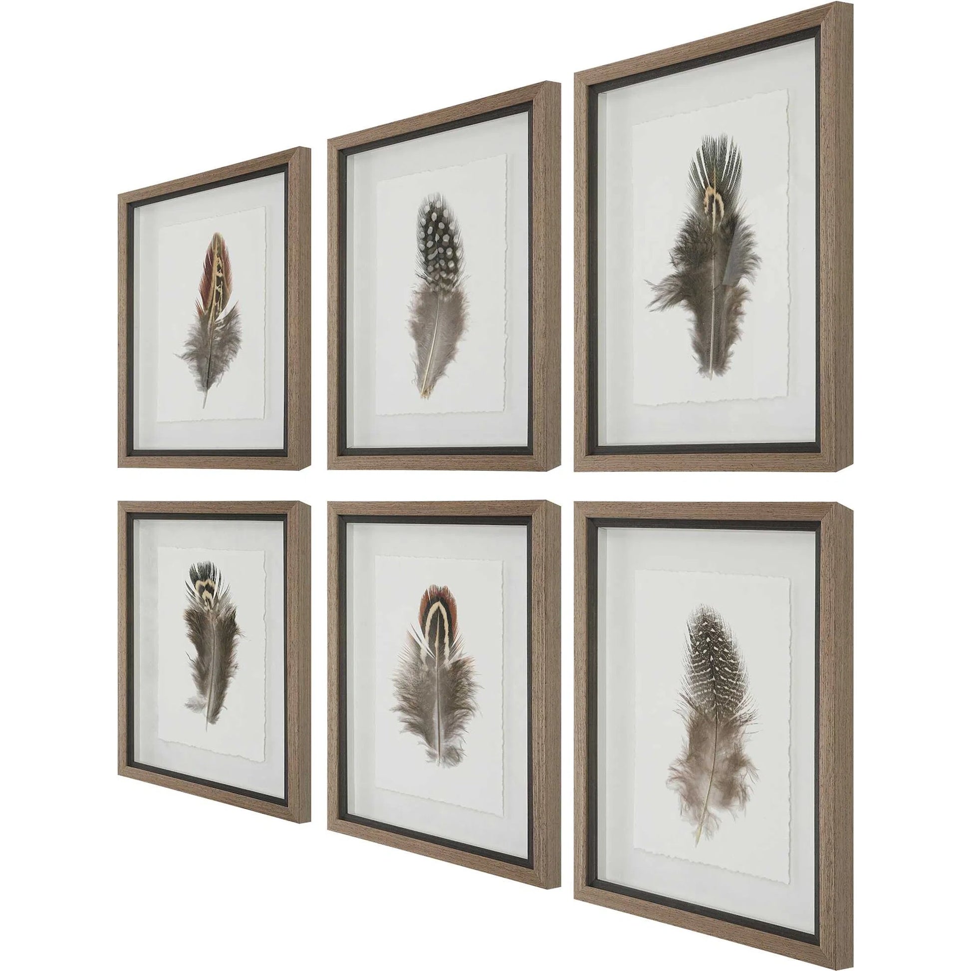Birds of a Feather Framed Prints by Uttermost in multi. Made from plastic, glass, paper in a modern style.