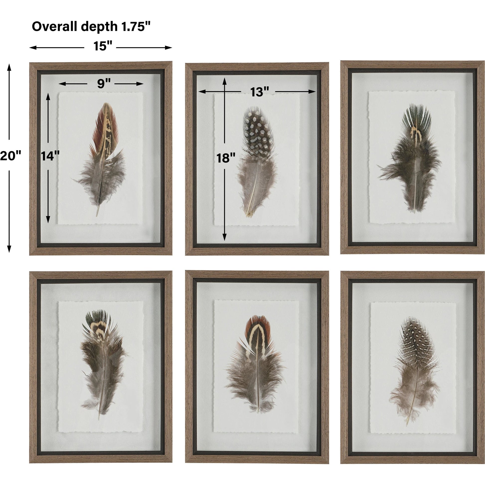 Birds of a Feather Framed Prints by Uttermost in multi. Made from plastic, glass, paper in a modern style.