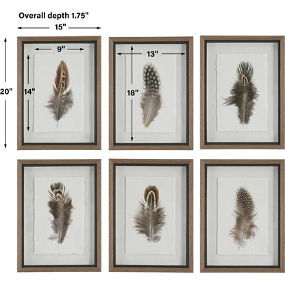 Birds of a Feather Framed Prints by Uttermost in multi. Made from plastic, glass, paper in a modern style.