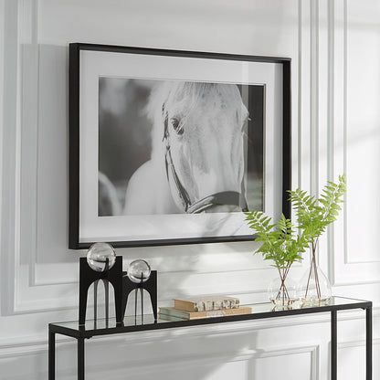 Eyes on the Prize Framed Print by Uttermost in multi and satin black. Made from pinewood, glass, mdf, paper in a modern style.