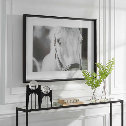Eyes on the Prize Framed Print by Uttermost in multi and satin black. Made from pinewood, glass, mdf, paper in a modern style.