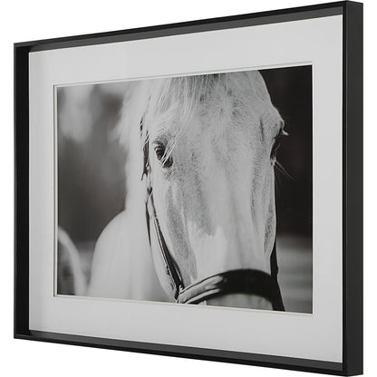 Eyes on the Prize Framed Print by Uttermost in multi and satin black. Made from pinewood, glass, mdf, paper in a modern style.