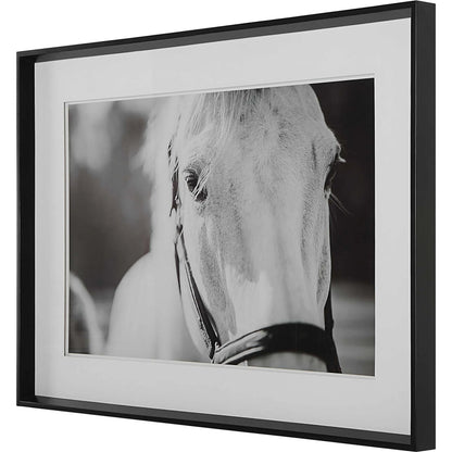 Eyes on the Prize Framed Print by Uttermost in multi and satin black. Made from pinewood, glass, mdf, paper in a modern style.