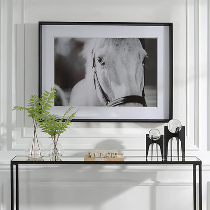Eyes on the Prize Framed Print by Uttermost in multi and satin black. Made from pinewood, glass, mdf, paper in a modern style.