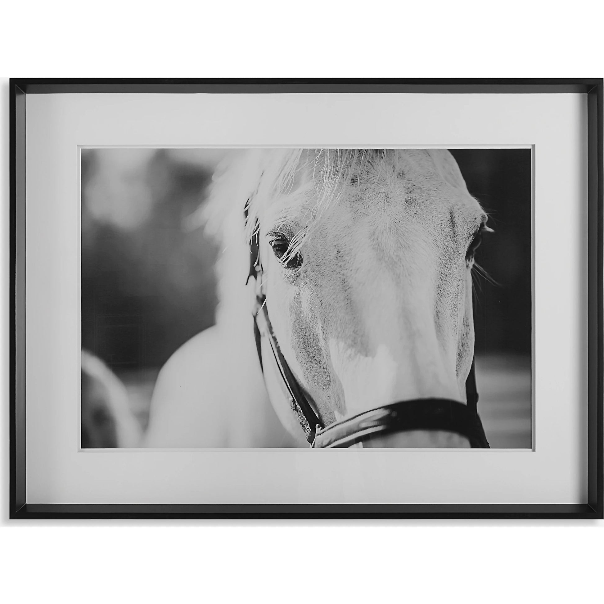 Eyes on the Prize Framed Print by Uttermost in multi and satin black. Made from pinewood, glass, mdf, paper in a modern style.