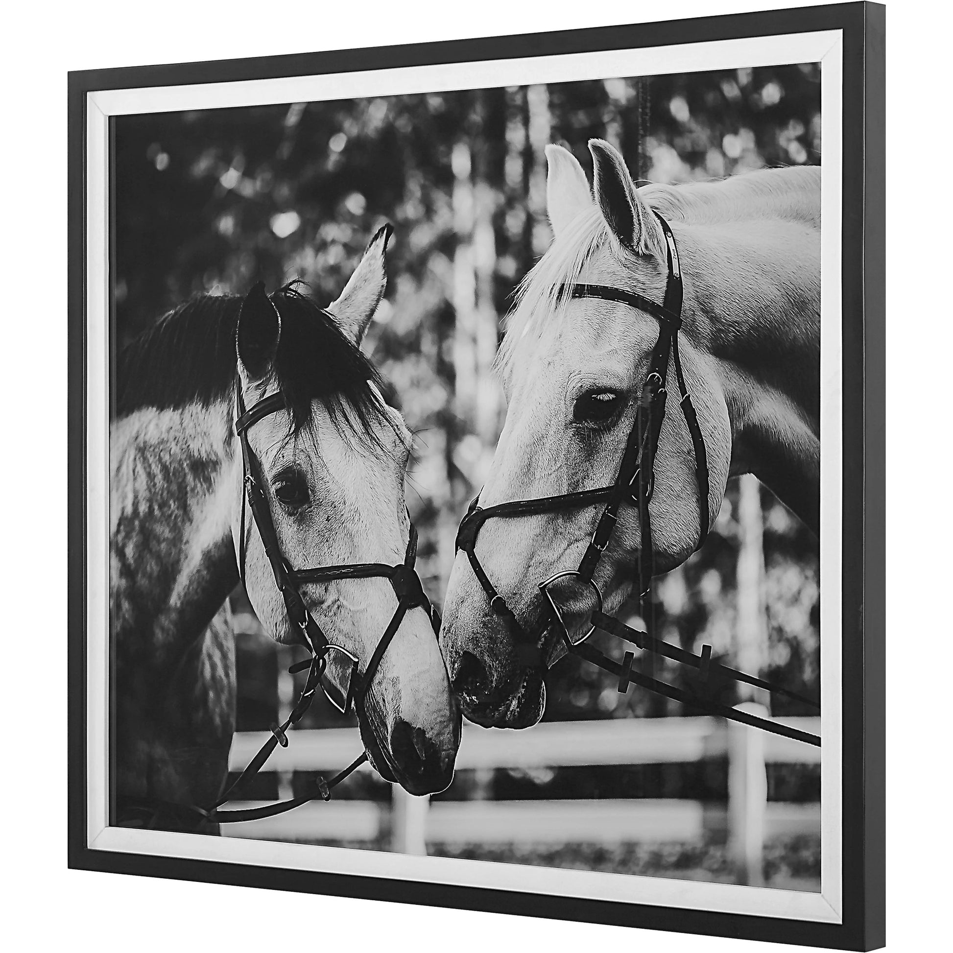 Apple of My Eye Framed Print by Uttermost in black, white. Made from pinewood, glass, mdf, paper, linen in a modern style.
