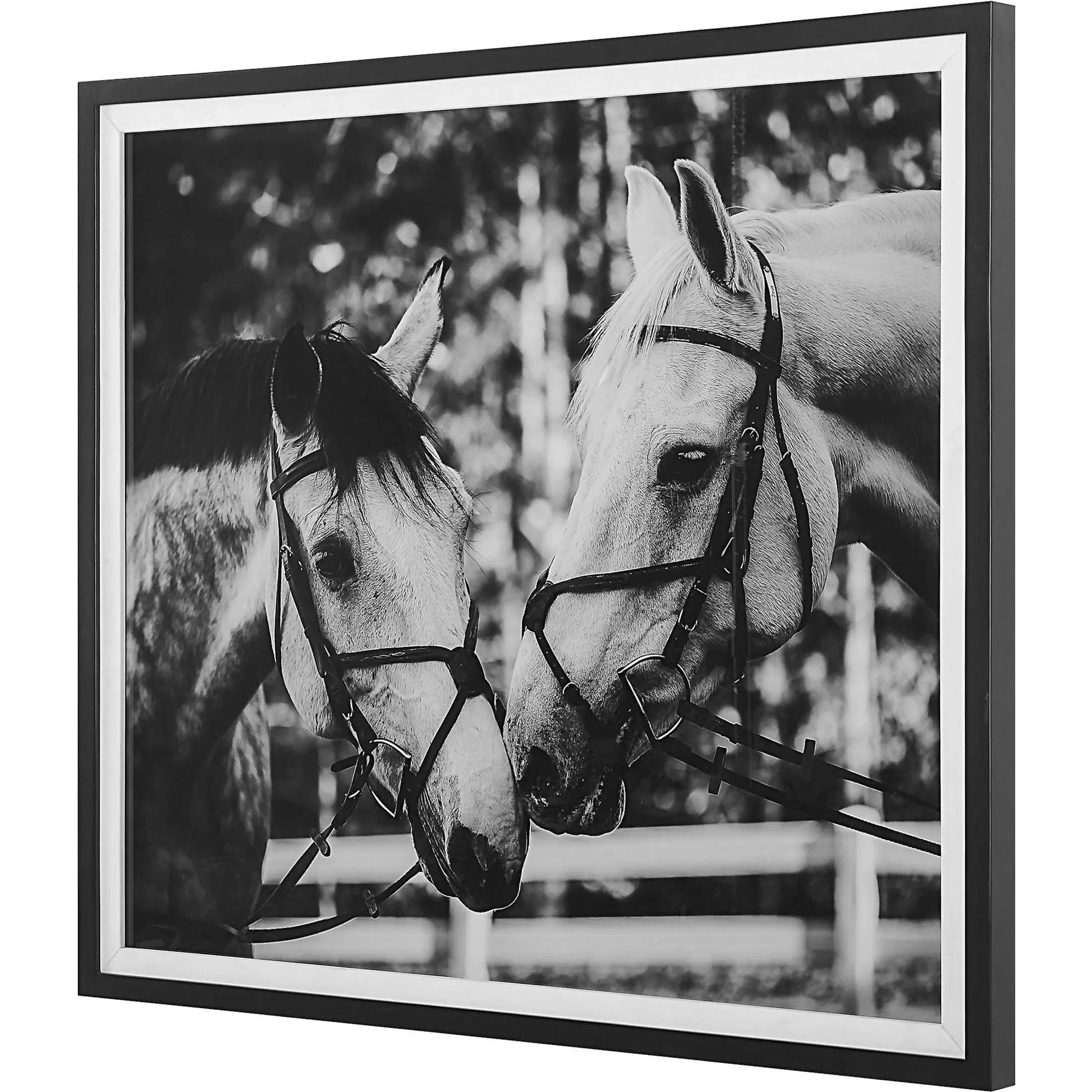Apple of My Eye Framed Print by Uttermost in black, white. Made from pinewood, glass, mdf, paper, linen in a modern style.